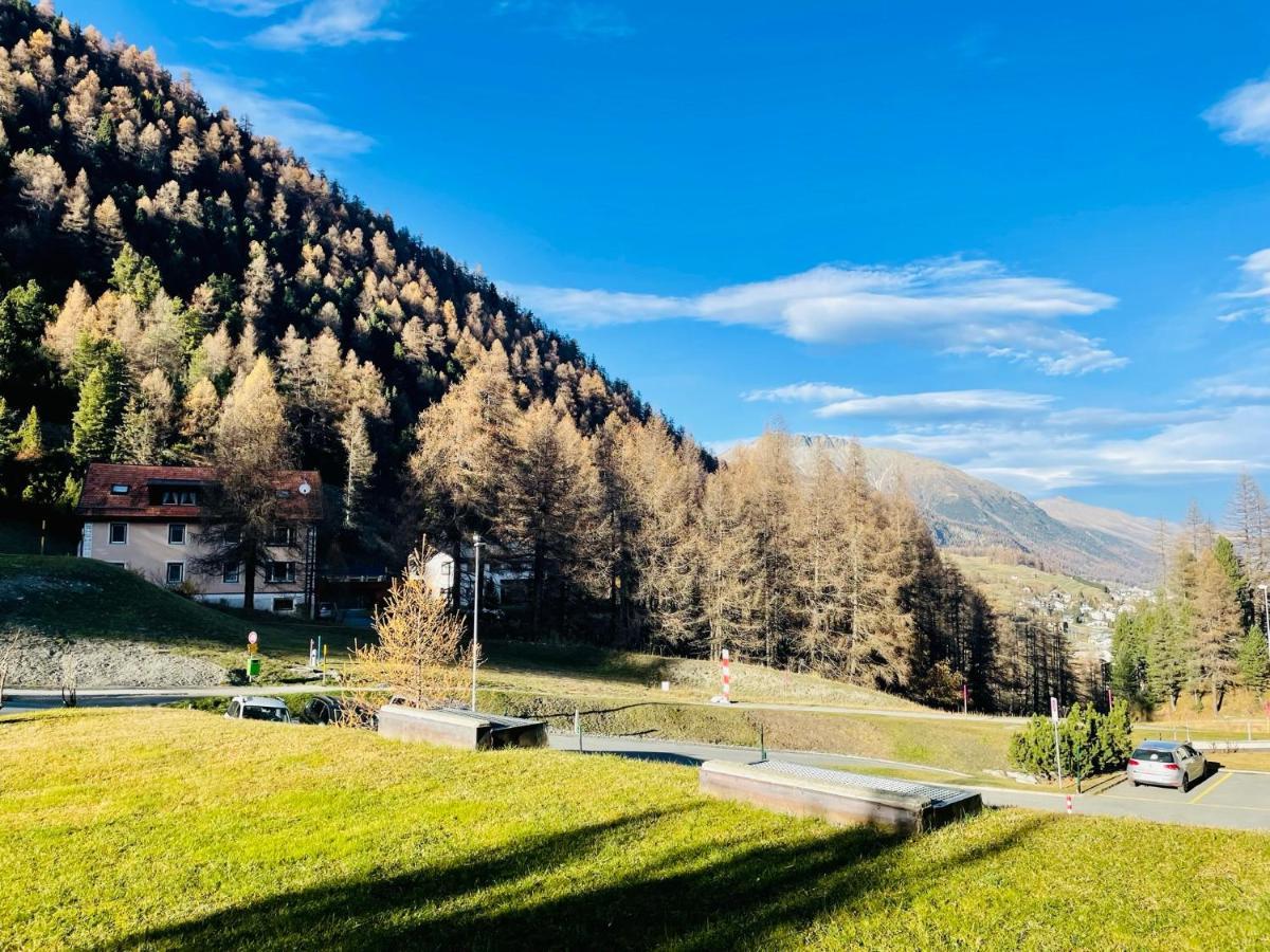 Sankt Moritz Chesa Ruinatsch 50 Lejlighed Eksteriør billede